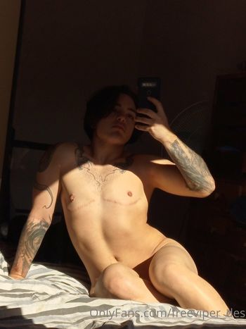freeviper_des