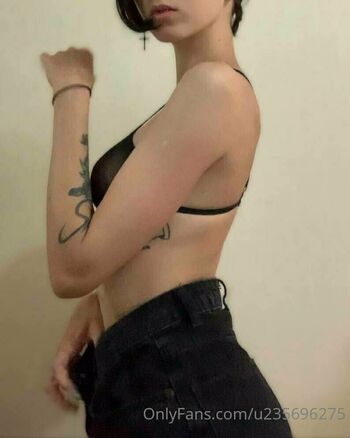 lily_shine