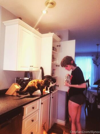 lilynox