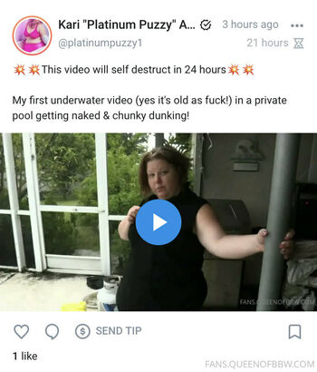 platinumpuzzy