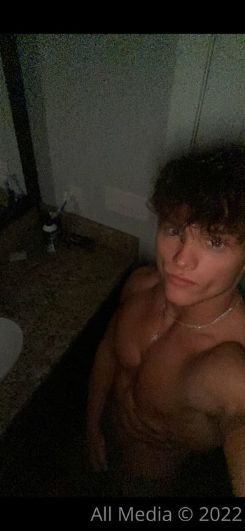 taylorsfree