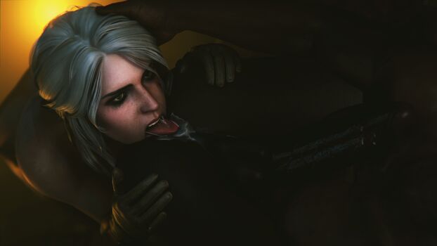 The Witcher